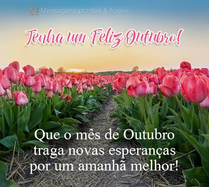 Que o mês de Outubro traga novas esperanças por um amanhã melhor!  Tenha um Feliz Outubro!