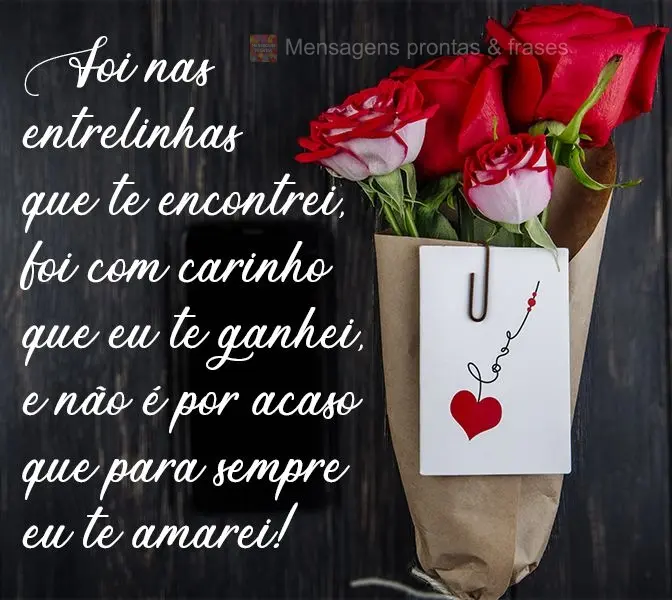 Foi nas entrelinhas que te encontrei, foi com carinho que te ganhei, e não é por acaso que para sempre te amarei!
