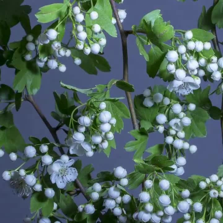 Outubro chegou...
Novo mês, novos dias, novos sonhos...
Que tenha dias cheios de sorrisos, esperança renovada, conquistas e novas oportunidades. 
Qu...