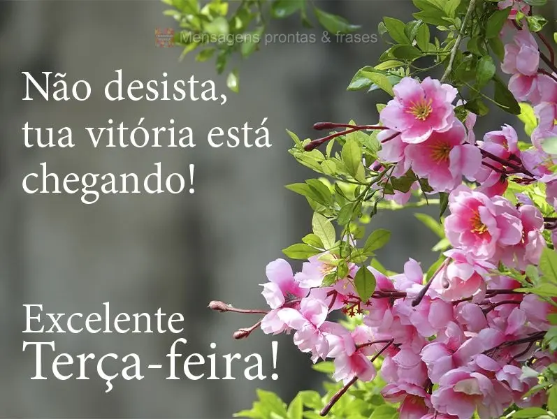 Não desista, tua vitória está chegando! 
 Excelente Terça-feira!