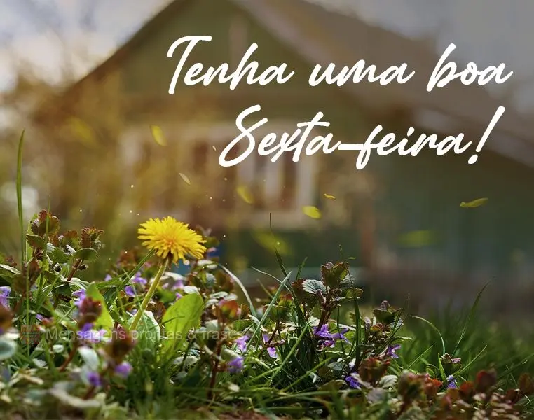 Tenha uma boa Sexta-feira!
