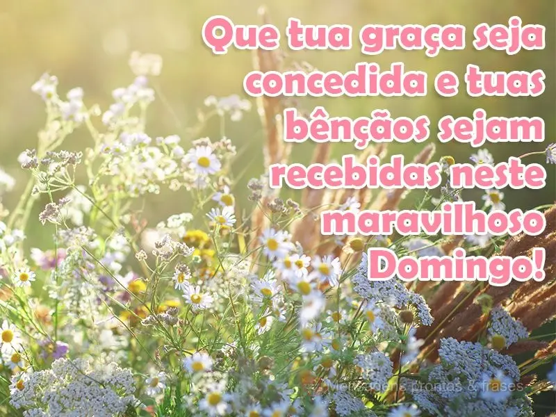 Que tua graça seja concedida e tuas bênçãos sejam recebidas neste maravilhoso Domingo!
