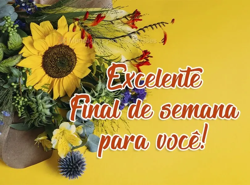 Excelente Final de semana para você!
