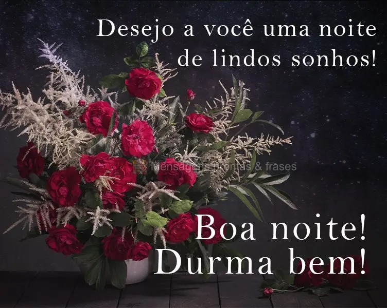 Desejo a você uma noite de lindos sonhos!
  Boa noite! Durma bem!