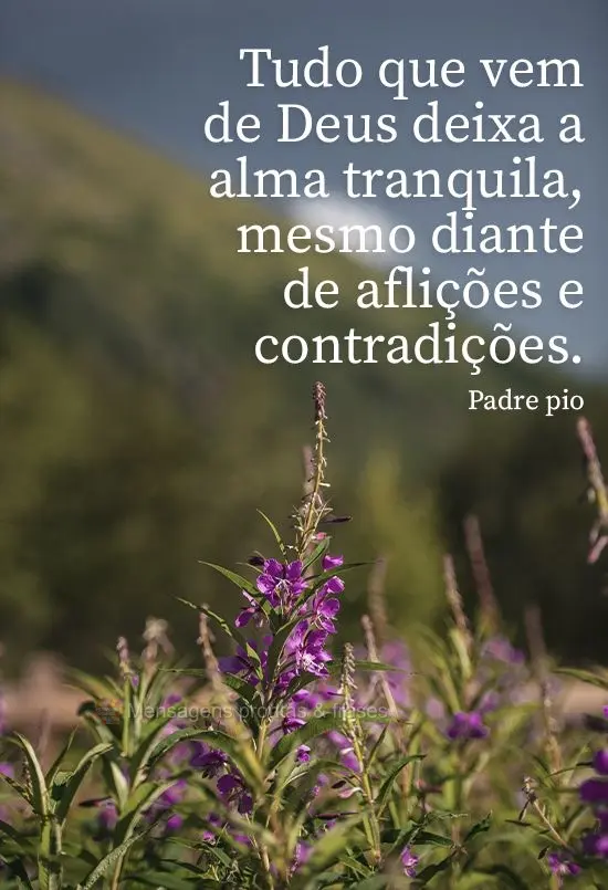 Tudo que vem de Deus deixa a alma tranquila, mesmo diante de aflições e contradições. 
 Padre pio