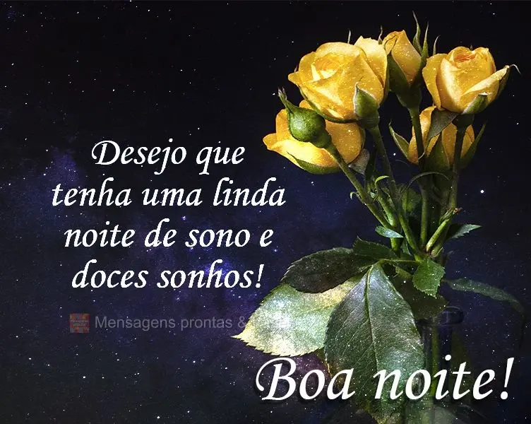 Desejo que tenha uma linda noite de sono e doces sonhos! 
 Boa noite!