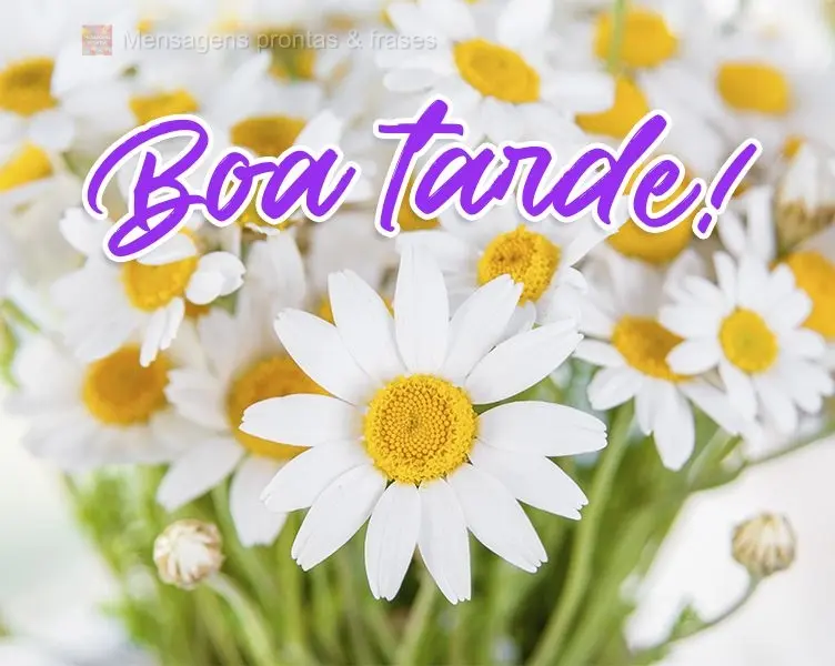 Boa tarde!
