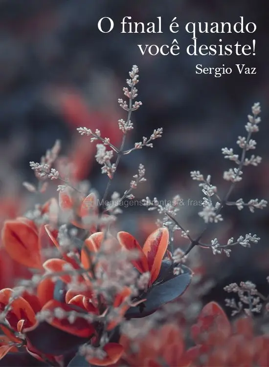 O final é quando você desiste!
  Sergio Vaz