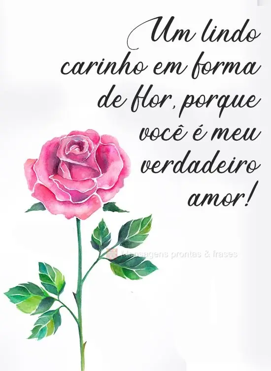 Um lindo carinho em forma de flor, porque você é meu verdadeiro amor!
