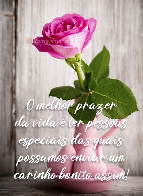 O melhor prazer da vida é ter pessoas especiais das quais possamos enviar um carinho bonito assim!
