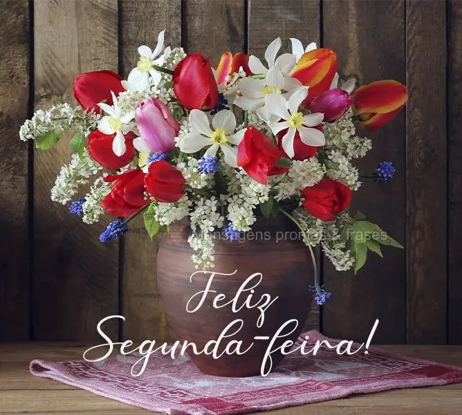 Feliz Segunda-feira! 
