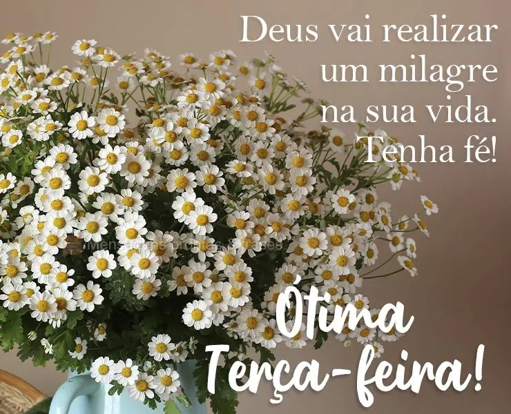 Deus vai realizar um milagre na sua vida. Tenha fé! 
 Ótima Terça-feira!