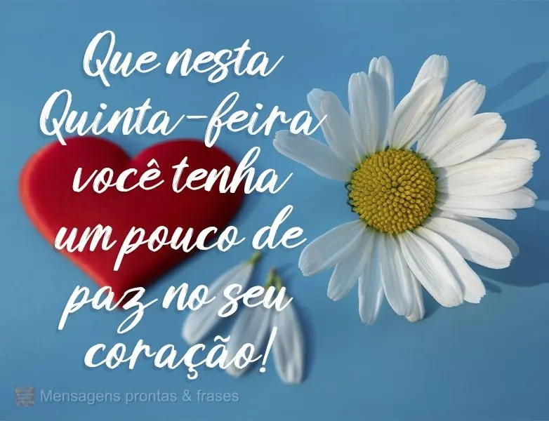 Que nesta Quinta-feira você tenha um pouco de paz para o seu coração! 
