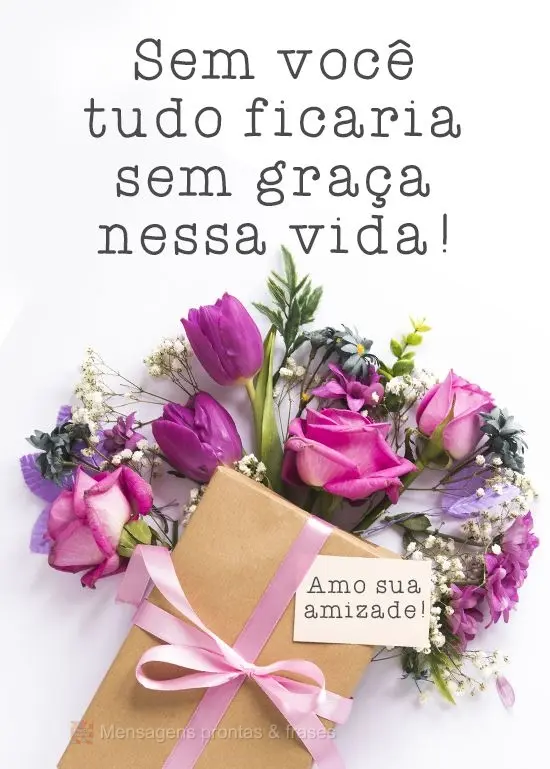 Sem você tudo ficaria sem graça nessa vida! Amo sua amizade!
