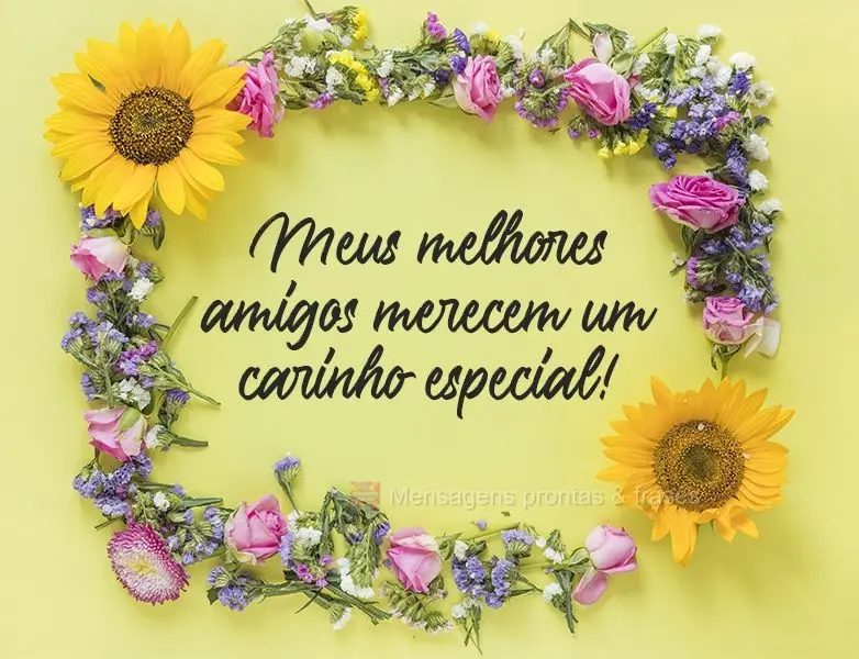 Meus melhores amigos merecem um carinho especial!
