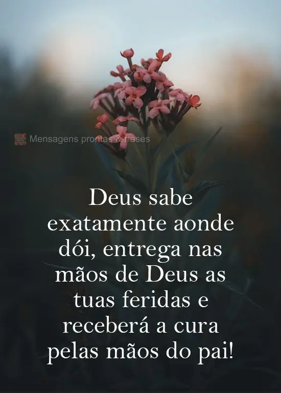 Deus sabe exatamente aonde dói. Entrega nas mãos de Deus as tuas feridas e receberá a cura pelas mãos do pai!
