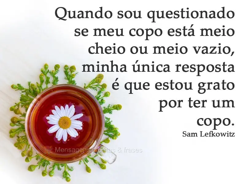 Quando sou questionado se meu copo está meio cheio ou meio vazio, minha única resposta é que estou grato por ter um copo.
  Sam Lefkowitz