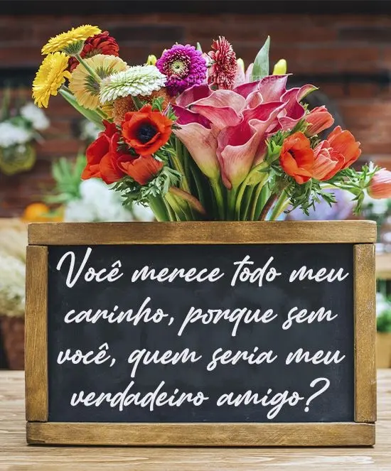 Você merece todo meu carinho, porque sem você, quem seria meu verdadeiro amigo?
