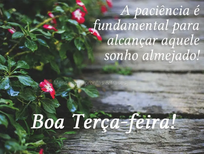 A paciência é fundamental para alcançar aquele sonho almejado! 
 Boa Terça-feira!
