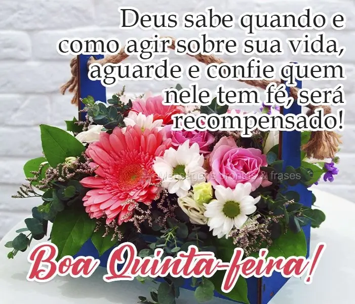Deus sabe quando e como agir sobre sua vida. Aguarde e confie! Quem nele tem fé, será recompensado! 

 Boa Quinta-feira!