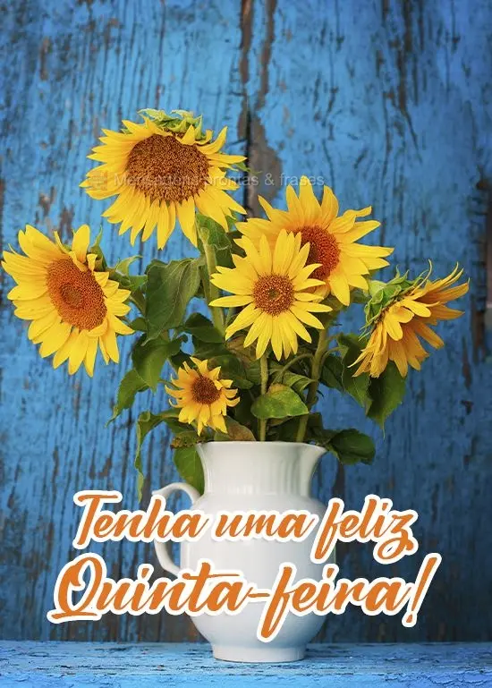 Tenha uma feliz Quinta-feira!
