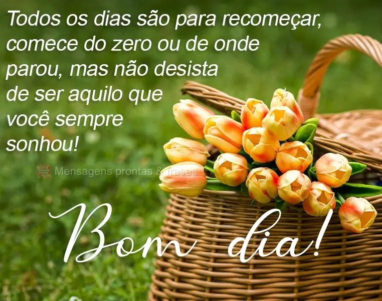 Todos os dias são para recomeçar. Comece do zero ou de onde parou, mas não desista de ser aquilo que você sempre sonhou! 
 Bom dia!
