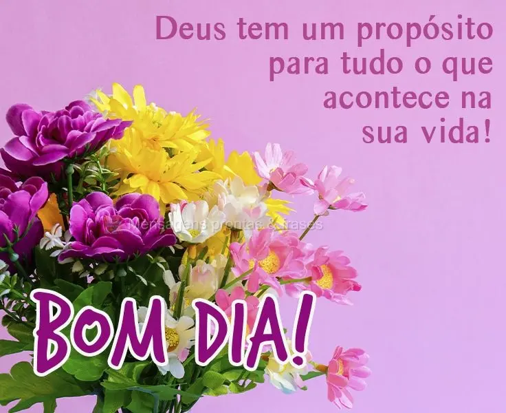 Deus tem um propósito para tudo o que acontece na sua vida! 
 Bom dia!
