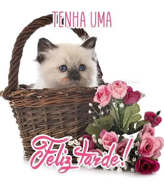 Tenha uma Feliz Tarde!
