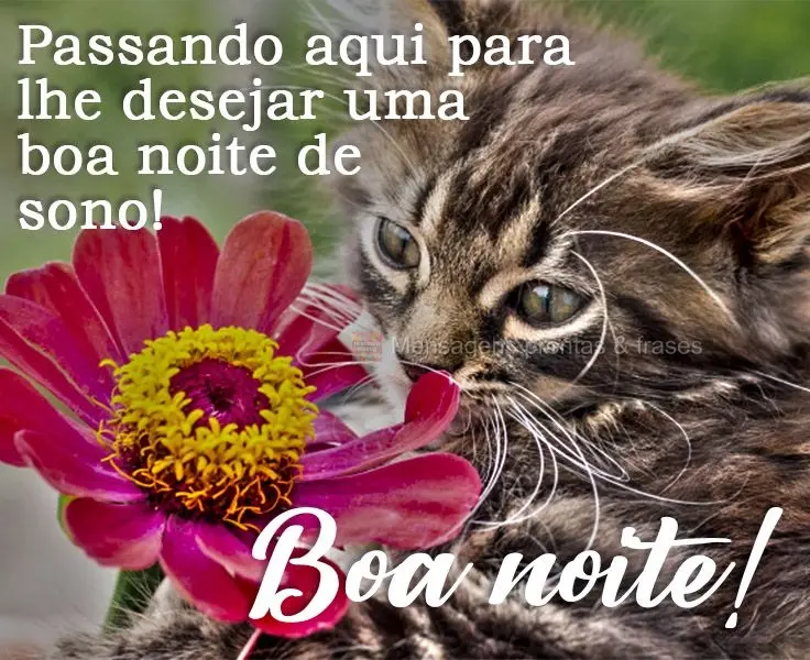 Passando aqui para lhe desejar uma boa noite de sono! 
 Boa noite!