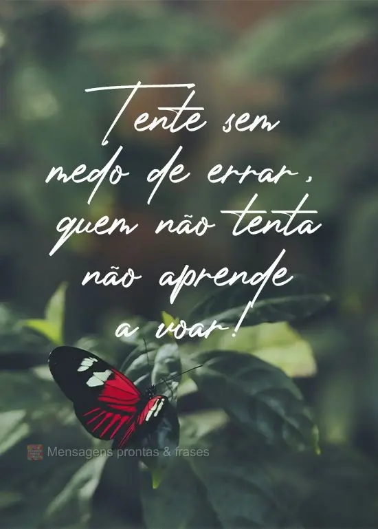Tente sem medo de errar, quem não tenta não aprende a voar!
