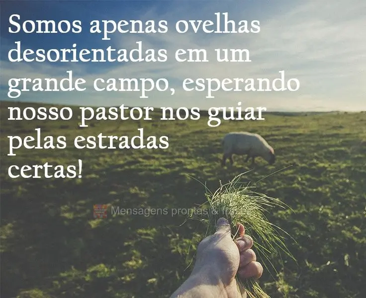 Somos apenas ovelhas desorientadas em um grande campo, esperando nosso pastor nos guiar pelas estradas certas!
