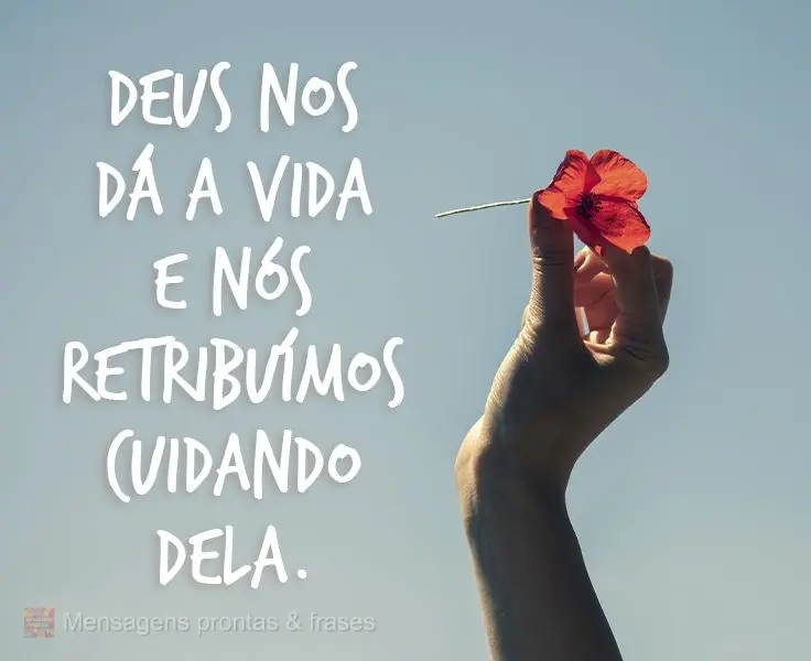 Deus nos dá a vida e nós retribuímos cuidando dela. 
