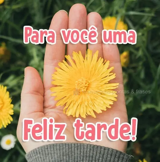 Para você uma Feliz tarde!
