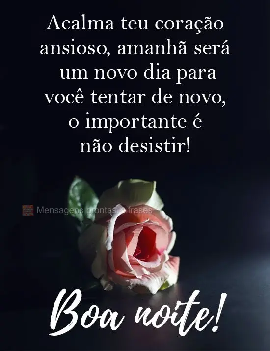 Acalma teu coração ansioso, amanhã será um novo dia para você tentar de novo, o importante é não desistir! 
 Boa noite!