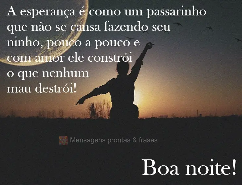 A esperança é como um passarinho que não se cansa fazendo seu ninho. Pouco a pouco e com amor ele constrói o que nenhum mau destrói! 
 Boa noite!...