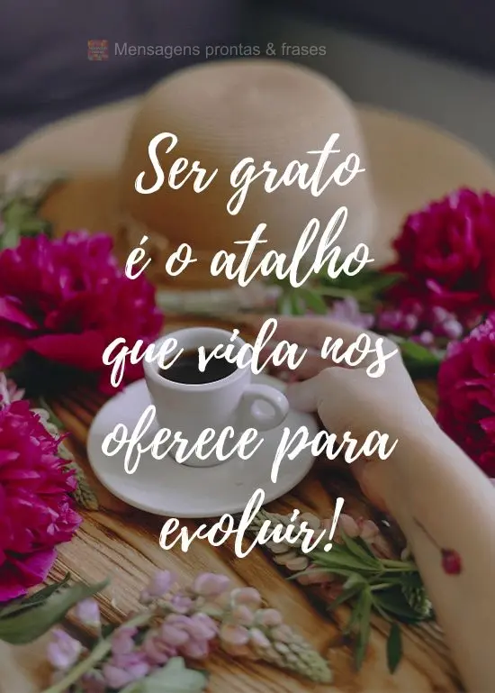 Ser grato é o atalho que a vida nos oferece para evoluir!

