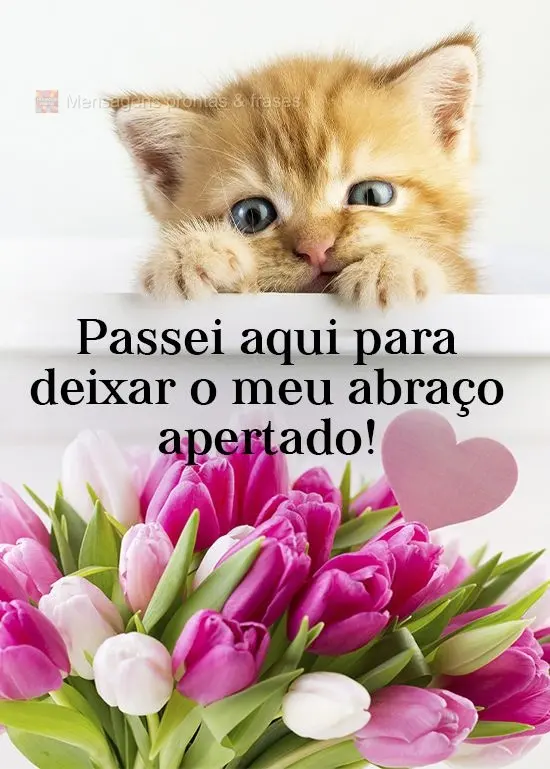 Passei aqui para deixar o meu abraço apertado!
