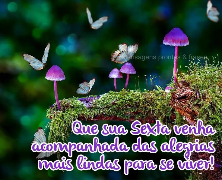 Que sua Sexta venha acompanhada das alegrias mais lindas para se viver!

