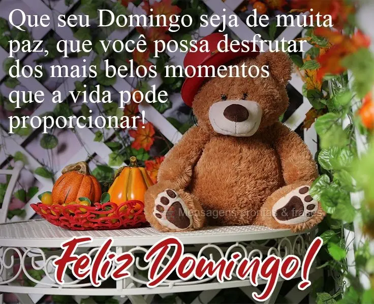 Que seu Domingo seja de muita paz, que você possa desfrutar dos mais belos momentos que a vida pode proporcionar! 
 Feliz Domingo!