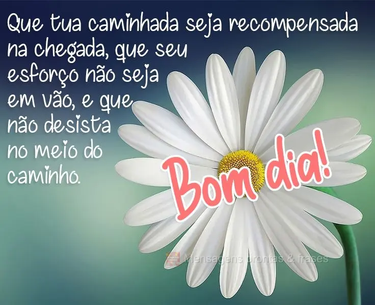 Que tua caminhada seja recompensada na chegada, que seu esforço não seja em vão, e que não desista no meio do caminho. 
 Bom dia!