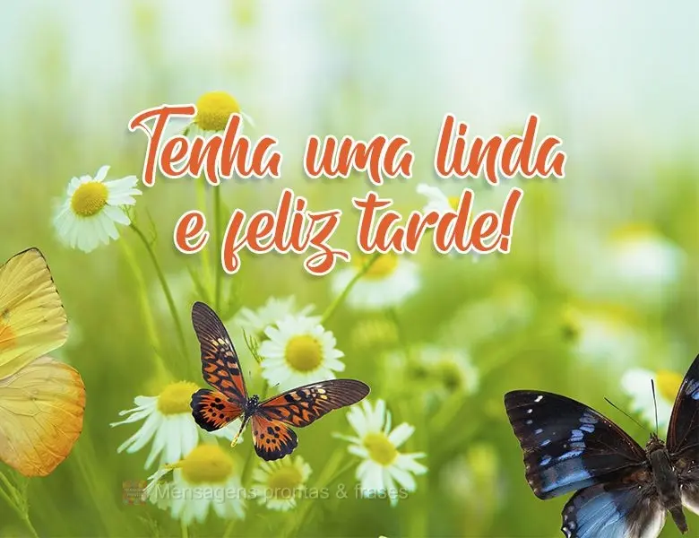 Tenha uma linda e feliz tarde!
