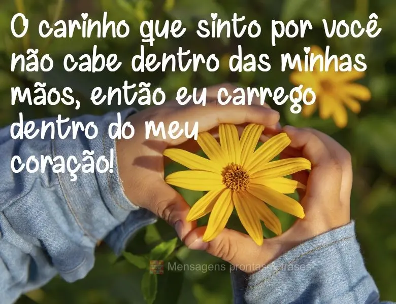 O carinho que sinto por você não cabe dentro das minhas mãos, então eu carrego dentro do meu coração!
