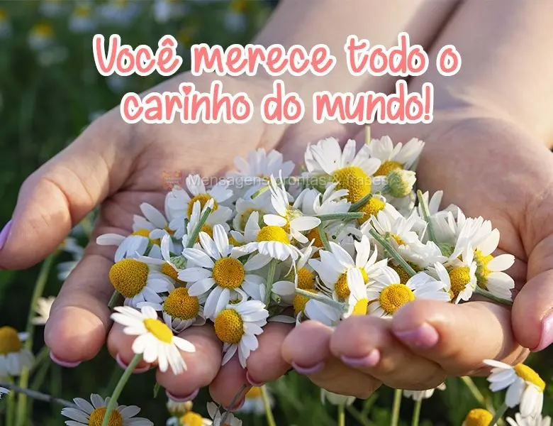 Você merece todo o carinho do mundo!

