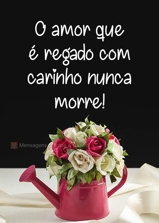 O amor que é regado com carinho nunca morre!
