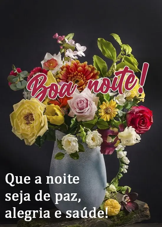 Que a noite seja de paz, alegria e saúde! 
 Boa noite! 
