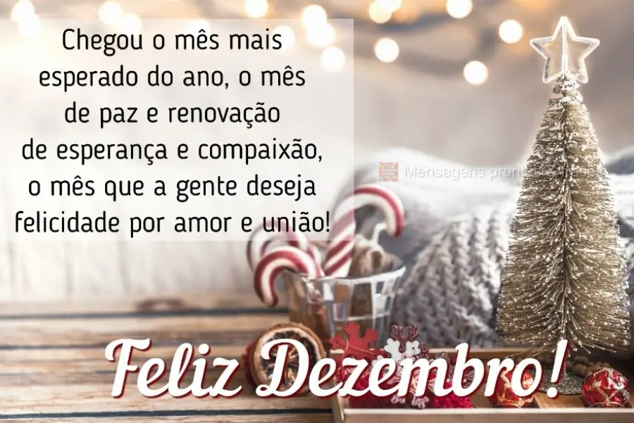 Chegou o mês mais esperado do ano... o mês de paz e renovação de esperança e compaixão, o mês que a gente deseja felicidade por amor e união!  Fe...