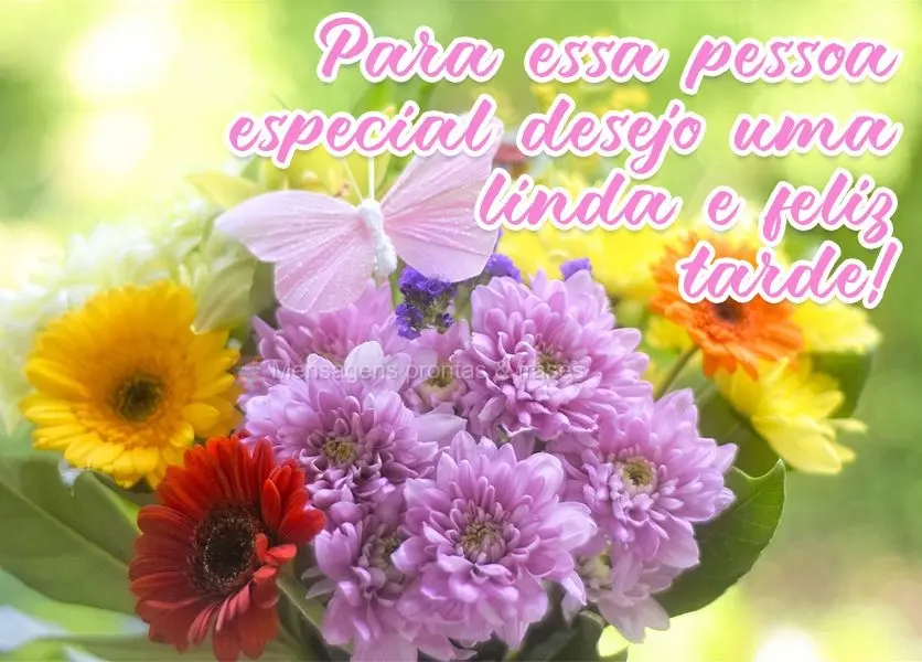 Para essa pessoa especial desejo uma linda e feliz tarde!