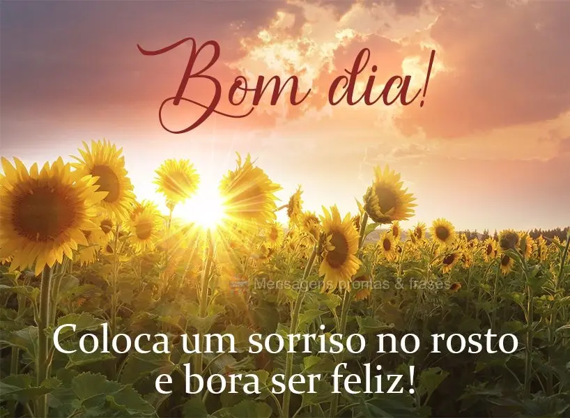 Coloca um sorriso no rosto e bora ser feliz!  Bom dia!