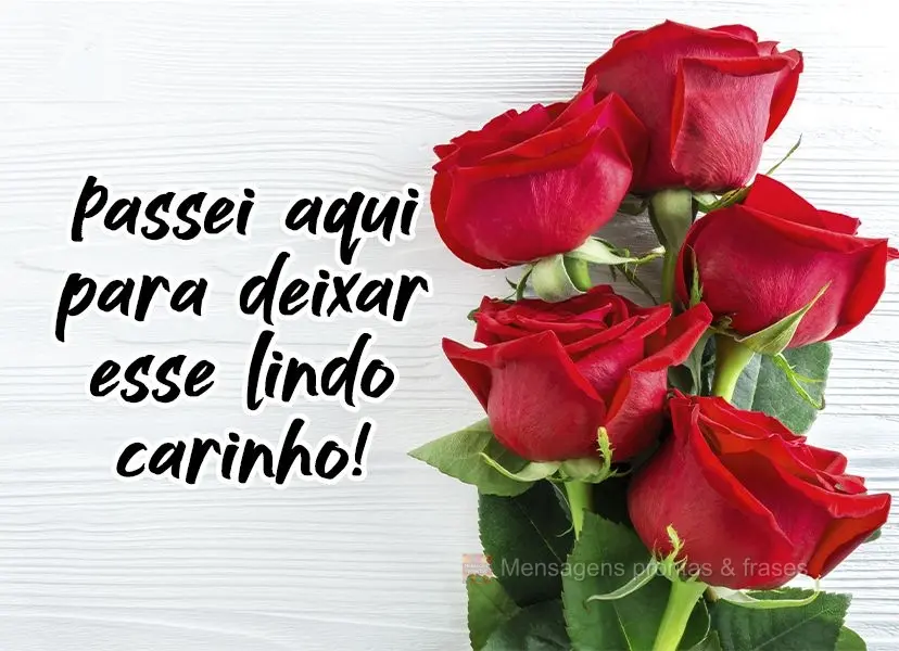 Passei aqui para deixar esse lindo carinho!