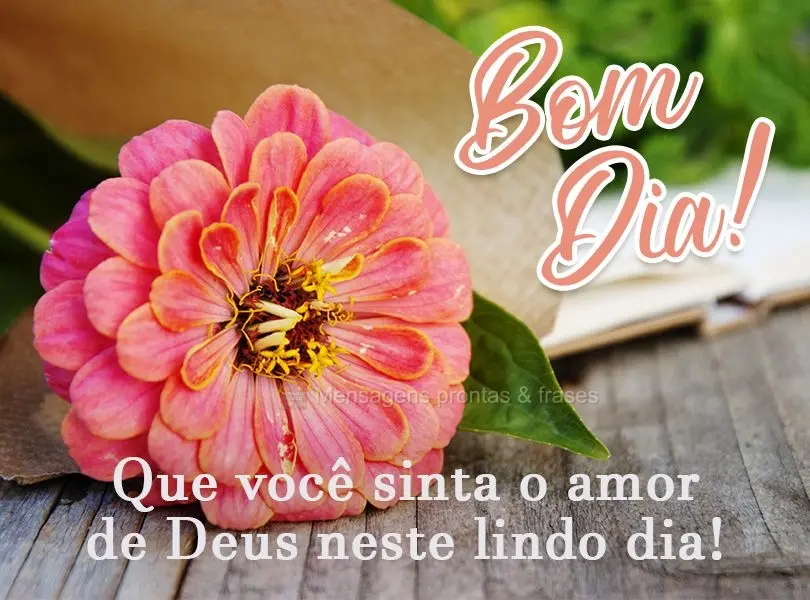 Que você sinta o amor de Deus neste lindo dia!  Bom dia!